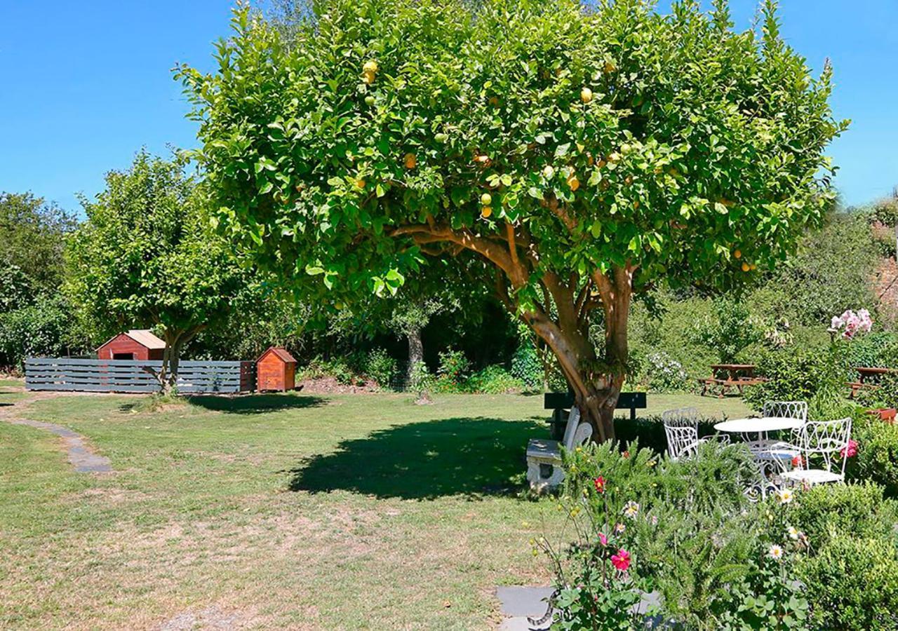 Pension Casa Elena Reinante Exteriér fotografie